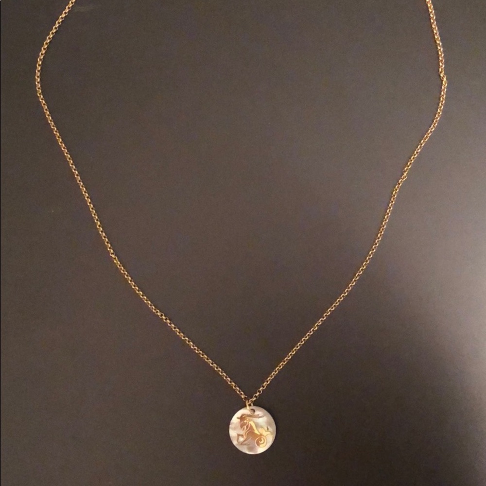 Aries zodiac necklace